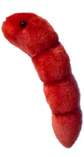 foto �ivot z Marsu (Z m�s��n�ho kamene ALH 84001)